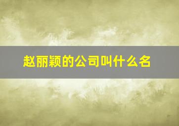 赵丽颖的公司叫什么名