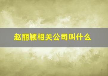 赵丽颖相关公司叫什么