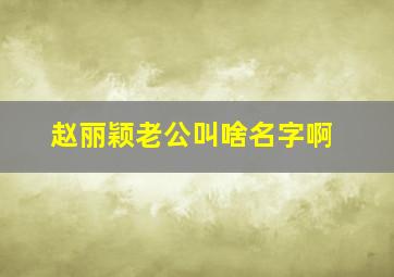 赵丽颖老公叫啥名字啊