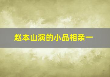 赵本山演的小品相亲一