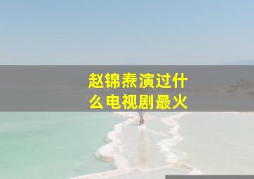 赵锦焘演过什么电视剧最火