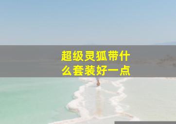 超级灵狐带什么套装好一点