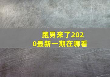 跑男来了2020最新一期在哪看