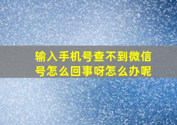 输入手机号查不到微信号怎么回事呀怎么办呢