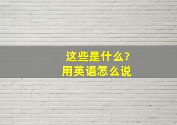 这些是什么? 用英语怎么说