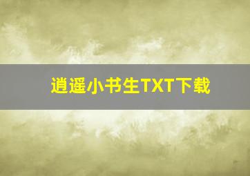 逍遥小书生TXT下载