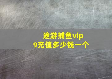 途游捕鱼vip9充值多少钱一个