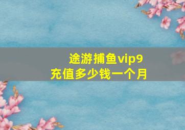 途游捕鱼vip9充值多少钱一个月