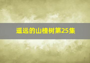 遥远的山楂树第25集