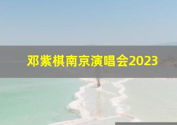 邓紫棋南京演唱会2023