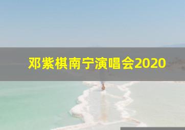 邓紫棋南宁演唱会2020