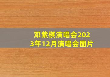 邓紫棋演唱会2023年12月演唱会图片