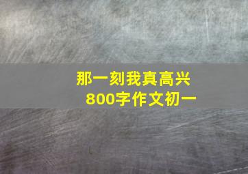 那一刻我真高兴800字作文初一