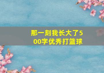 那一刻我长大了500字优秀打篮球