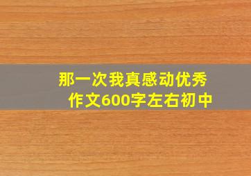 那一次我真感动优秀作文600字左右初中