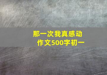 那一次我真感动作文500字初一