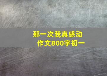 那一次我真感动作文800字初一