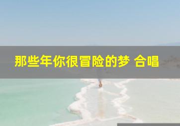 那些年你很冒险的梦 合唱