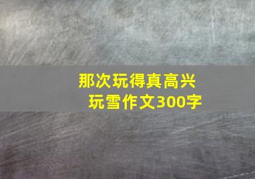 那次玩得真高兴玩雪作文300字