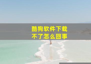 酷狗软件下载不了怎么回事