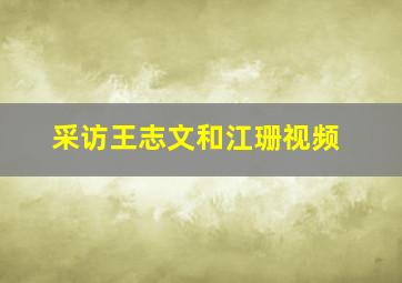 采访王志文和江珊视频