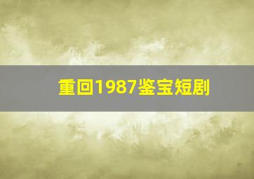 重回1987鉴宝短剧