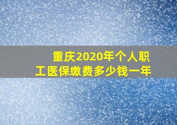 重庆2020年个人职工医保缴费多少钱一年