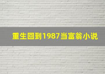 重生回到1987当富翁小说