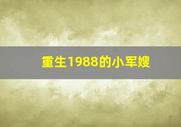 重生1988的小军嫂