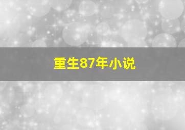 重生87年小说