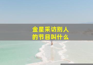 金星采访别人的节目叫什么