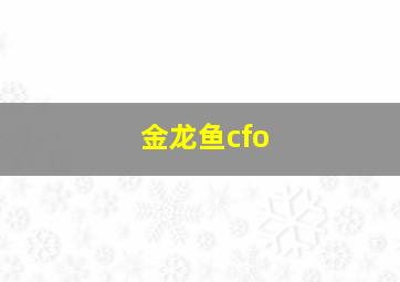 金龙鱼cfo