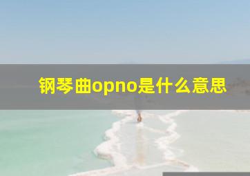 钢琴曲opno是什么意思