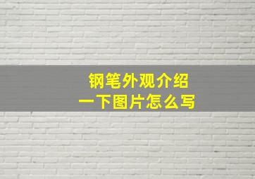 钢笔外观介绍一下图片怎么写