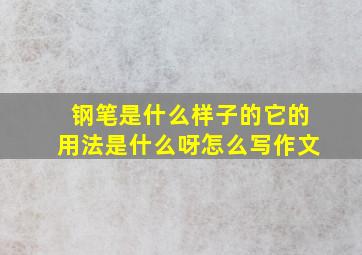 钢笔是什么样子的它的用法是什么呀怎么写作文