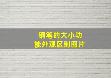 钢笔的大小功能外观区别图片