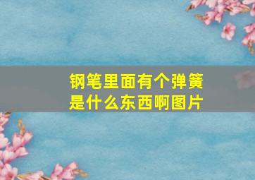 钢笔里面有个弹簧是什么东西啊图片