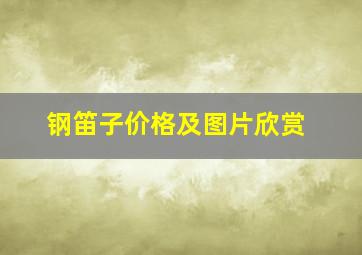 钢笛子价格及图片欣赏