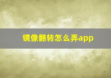 镜像翻转怎么弄app