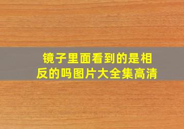 镜子里面看到的是相反的吗图片大全集高清