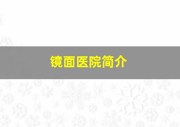 镜面医院简介