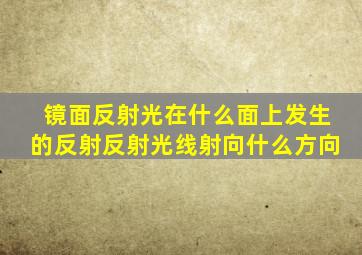 镜面反射光在什么面上发生的反射反射光线射向什么方向