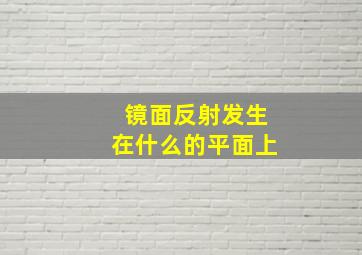 镜面反射发生在什么的平面上