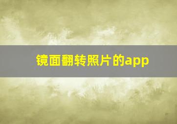 镜面翻转照片的app