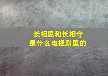 长相思和长相守是什么电视剧里的