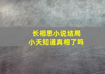 长相思小说结局小夭知道真相了吗