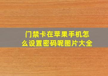 门禁卡在苹果手机怎么设置密码呢图片大全