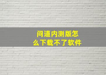 问道内测版怎么下载不了软件