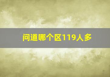 问道哪个区119人多