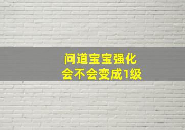 问道宝宝强化会不会变成1级